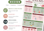 design a professional canva infographic